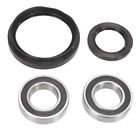 101-0163 Bearing Connections Front Wheel Kit For Kawasaki