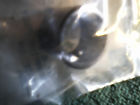 5692676 2000 Bearing Oem Pump - Steering Chevy Needle 1999 Power Gm