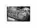 2016-0227 Rivera Primo Slimline Belt Drive Polished
