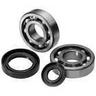 24-1084 Quadboss Crankshaft Bearing And Seal Kit Polaris