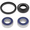 25-1069 All Balls Front Wheel Kit 887337095455