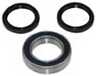 25-1365 Quadboss Wheel Bearing And Seal Kit Es