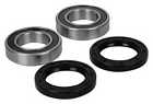 25-1395 Quadboss Wheel Bearing And