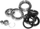 25-2013 Quadboss Differential Bearing And Seal Kit Fourtrax