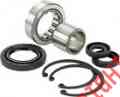 25-3101 4876763 Seal Kit Primary Bearing