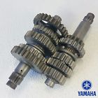 5nl-17411-10-00 Yamaha 2006 Yz250f Transmission Gear