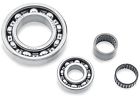 6009 Peer Bearing Bikers Choice Main Drive Gear