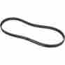 62-0940 Panther Drive Belts Rear Belt 1 2in 126t