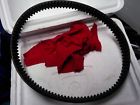 6gez Primary Drive Belt For Bdl