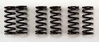 96-252 Ultima Heavy Duty Clutch Spring Set For Open Belt Drives