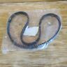 Bdl-bh-132-118 Goodyear Bdl Final Drive Belt For Harley Davidson Dynas New