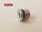 Bdm240-00642 Big Dog Motorcycles Oem Primary Drain Plug Oil Tank