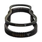 Erlandson Technology Dbhogfmb Scooter Bando Standard Drive Belt