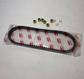 C11220010001 Genuine Scooter Co. Hooligan / Blur Drive Belt Kit With Roller Weights And Slides. Oem