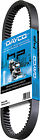 Hp3019 Dayco Hp High Performance