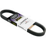 Max1131m3 Carlisle Max Drive Belt