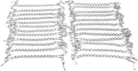 0366-0002 Moose Utility Racing Tire Chain