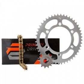 1022610208 Primary Drive Steel Kit And Gold X-ring Chain