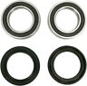 Pwfwk-g02-001 Pivot Works Wheel Bearing Kit