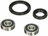 Pwfws-h37-000 Pivot Works New Wheel Bearing Kit For Honda Nx