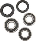 Pwrwk-s17-400 Pivot Works Wheel Bearing Kit Rear