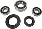 Pwrws-s14-000 Pivot Works Wheel Bearing Kit Rear