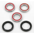 A251250 Rear Moose Kit Bearing Wheel -