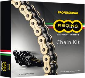 106kho036 Regina 4rh2/106kho036 Chain And Sprocket Kit