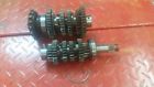 T1180595 Triumph Tiger 955i Transmission