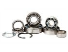 Tbk0022 Hot Rods Transmission Bearing Kit Kawasaki Kfx 740350472248