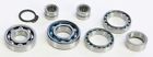 Tbk0059 Hot Rods Transmission Bearing