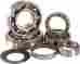 Tbk0089 Hot Rods Transmission Bearing Kit