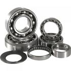 Tbk0099 Hot Rods Transmission Bearing