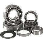 Tbk0106 Hot Rods Transmission Bearing Kit