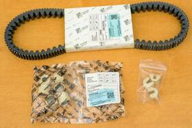 1a009598 Vespa Modern Hpe Gts 300 Drive-belt Weights And Sliders - All Brand New
