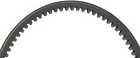 We262000 Epi Standard Drive Belt