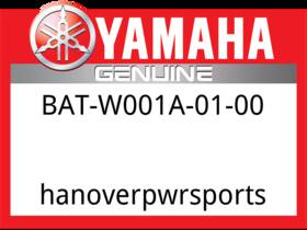 Bat-w001a-01-00 Yamaha Oem Part Chain And Sprocket Kit