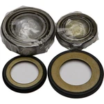 Balls Steering Bearing/seal Kit 22-1025. Fixed Price $61.15.