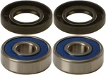 New Balls Wheel Bearing & Seal Kit 25-1317 Fast Shipping. Fixed Price $42.02.