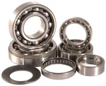 Hot Rods Transmission Bearing Kits For Kawasaki Kx 250 (04) TBK0023. Fixed Price $144.35.