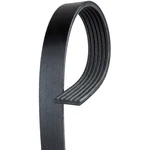Acdelco 6K1360 V Ribbed Serpentine Belt. Fixed Price $102.21.