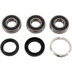 Pivot Works Wheel Bearing Kit Rear PWRWK-H09-521. Fixed Price $30.99.