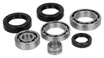 Balls Bearing Kit Differential Frt Front 22-52075 AB25-2075 6701-637. Fixed Price $155.01.