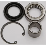 Balls Inner Primary Bearing And Seal Kit 25-3103. Fixed Price $55.41.
