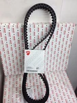 Timing Belts Ducati Multistrada 950 V2 - 73740251B Toothed. Fixed Price $183.50.