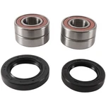 Pivot Works Wheel Bearing Kit Front PWFWS-H10-000. Fixed Price $48.99.