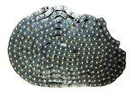 Tyc 10' Double Strand Roller Chain W/connecting Link Nos. Fixed Price $51.98.