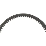 Epi Performance Standard Belt. Fixed Price $81.66.