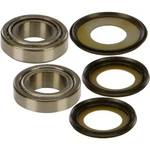 Balls Steering Bearing/seal Kit 22-1001. Fixed Price $56.45.