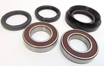Rear Axle Wheel Hub Bearing Drum Seal Kit Honda Sportrax Ex 03-22. Fixed Price $39.88.